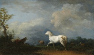 Pejzaż z białym koniem na tle pochmurnego nieba - 1