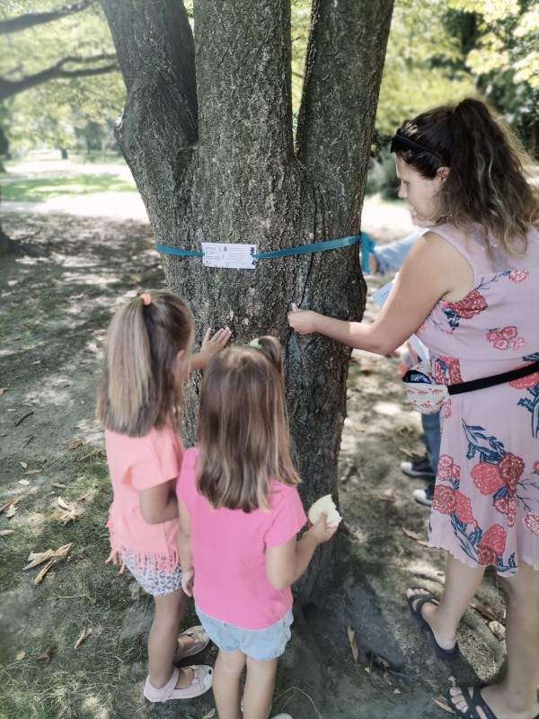 Kobieta i dwie dziewczynki stojące przy drzewie.