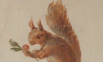 Rysunek przedstawiający wiewiórkę. 