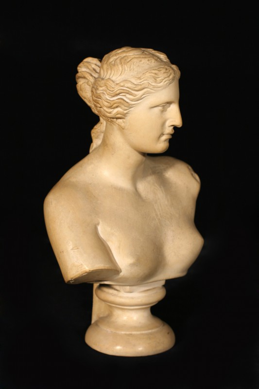 Bust of Venus