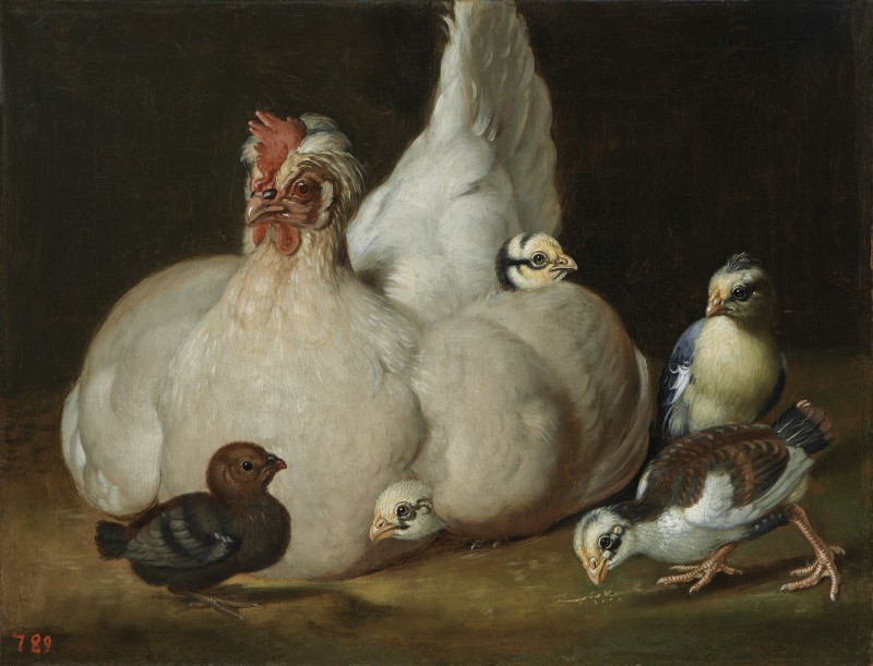 White Hen with Chickens