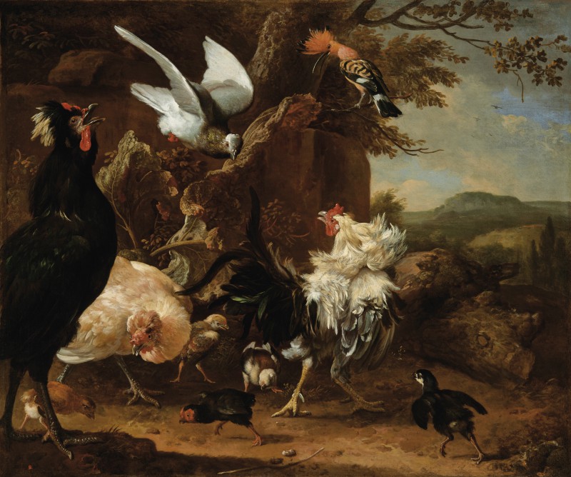Two Roosters, a Hen and Chickens, Pigeon and Hoopoe