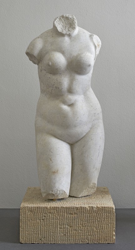 Female torso