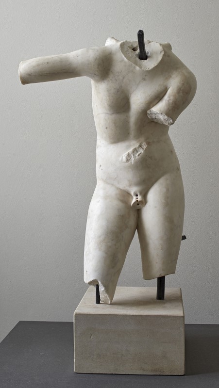 Male torso