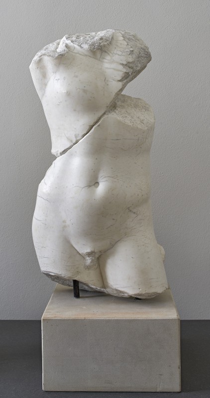 Male torso