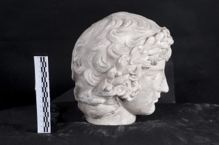 Head of Antinous - 2