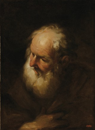 Study of the Head of an Old Man - 1