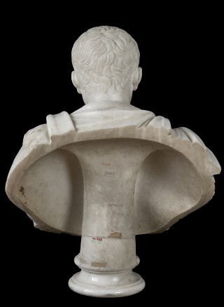 Bust of Galba - 3