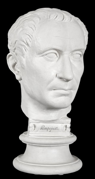 Głowa Juliusza Cezara ("Pompejusza") - 1