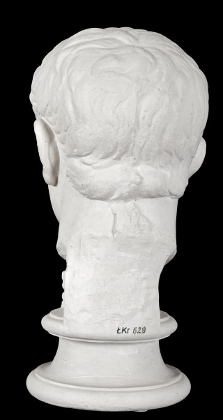 Głowa Juliusza Cezara ("Pompejusza") - 3