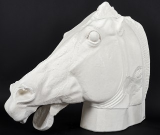 Głowa konia - 2