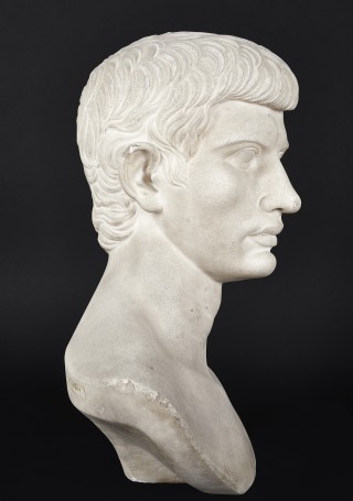 Bust of Young man - 2