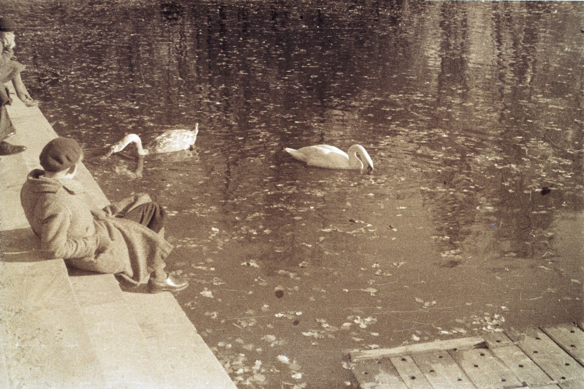Archiwalne zdjęcie przedstawiające staw, po którym pływają dwa łabędzie. Na brzegu stawu siedzi kobieta.