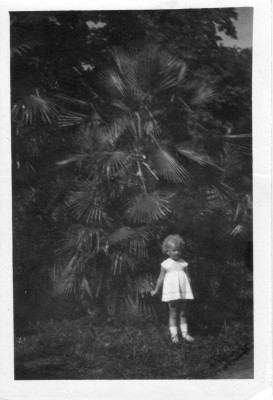 Dziewczynka stojąca pod drzewem.
