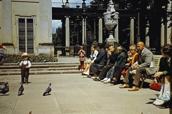 Dziecko na placu wśród gołębi, po lewej stronie na ławkach siedzą ludzie.