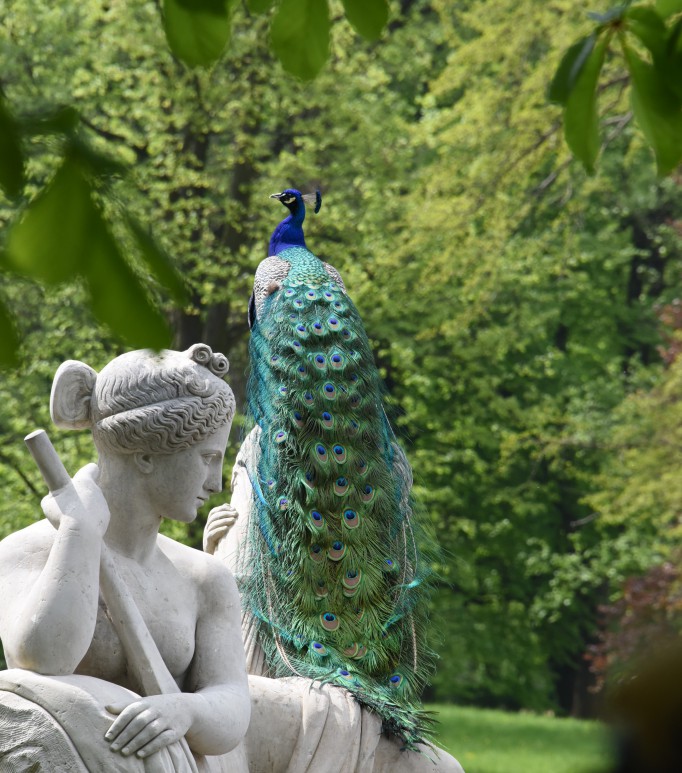 Rzeźba przedstawiająca kobietę, która stoi w parku, w tle widać pawia.