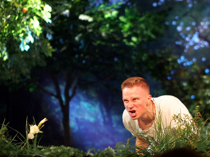 Scena w teatrze stylizowana na las, mężczyzna klęczy i wydaje z siebie okrzyk.