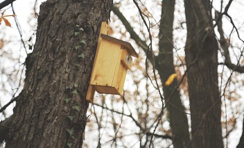 Ekologiczne minidomki dla mieszkańców ogrodów