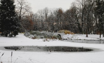 Kruchy lód na łazienkowskich stawach