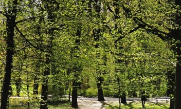 Zamknięte ogrody Łazienek Królewskich