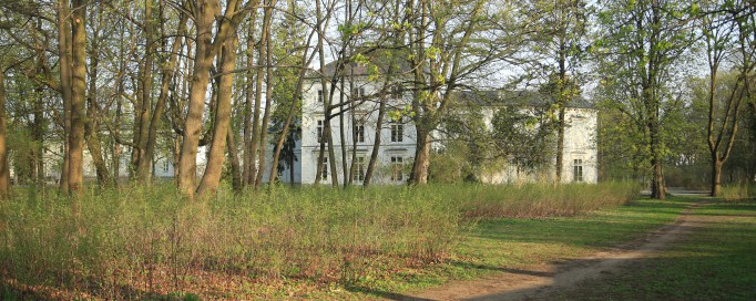 Fragment ogrodu.