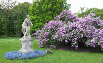 Rzeźba przedstawiająca kobietę, stojąca koło krzewu bzu w ogrodach Łazienek Królewskich.