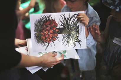 Dziecko trzyma plansze z rysunkami roślin.