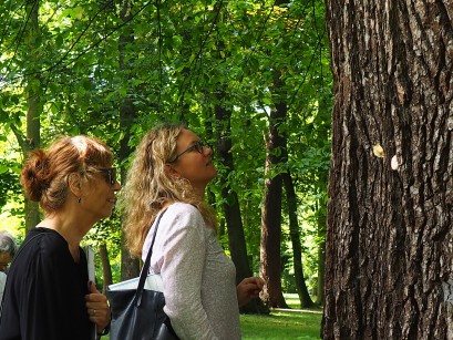 Dwie kobiety stoją w parku pod drzewem i patrzą na jego gruby pień. 