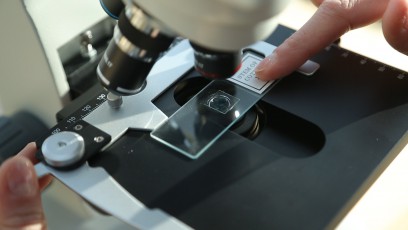 Widoczny jest mikroskop oraz ręka umieszczająca preparat pod obiektywem mikroskopu. 