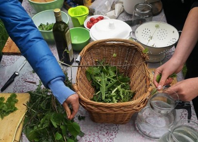 Na stole stoją koszyk z zielonymi ziołami, kilka misek, butelka z oliwą. Po obu stronach blatu widać ręce, które wrzucają zielone rośliny do koszyka. 