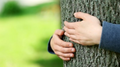 Dziecięce dłonie obejmujące pień drzewa.