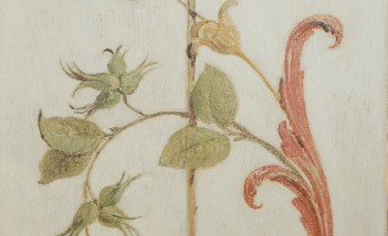 Rysunek przedstawiający gałązkę leszczyny, obok liści widoczne są zawiązki orzechów. 