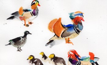 Kolorowe ptaki namalowane farbami na białej kartce. 