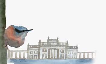 Rysunek przedstawiający ptaka i Pałac na Wyspie. 