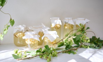 Słoiki z konfiturami stojące na blacie. Przed słoikami leży gałązka z liśćmi.