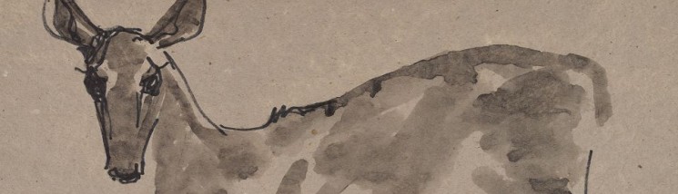 Rysunek przedstawiający sarnę. 