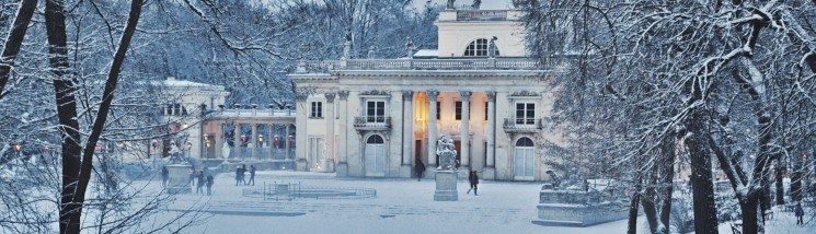 Pałac na Wyspie w zimowym otoczeniu. Budynek Pałacu i pobliskie drzewa pokrywa śnieg.